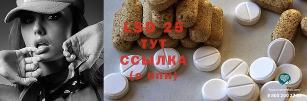 винт Богданович