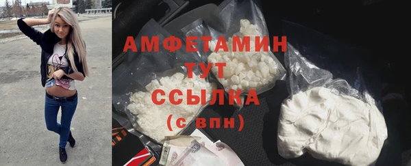 винт Богданович